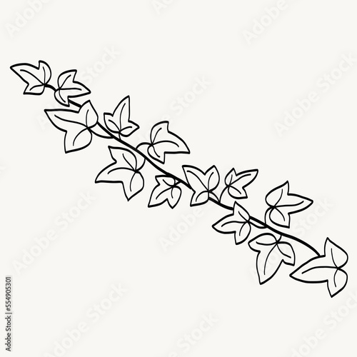 Floral ivy drawing decorative ornament flat design.