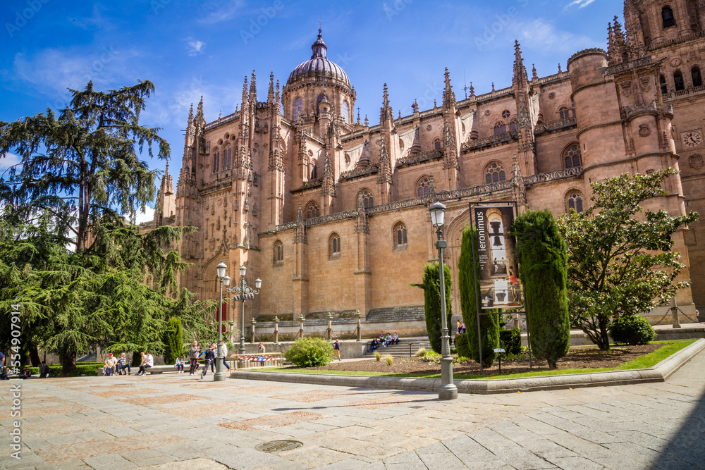 the cathedral de Salamanca