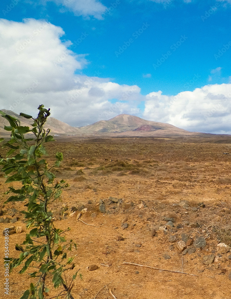 Desert on Lanzarote Island.