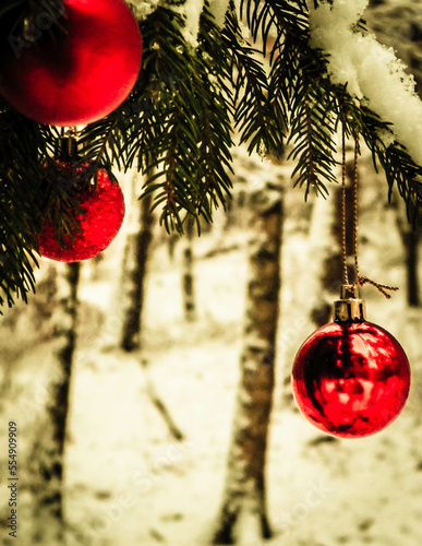 Christmass balls on tree twig. Christmas time. photo