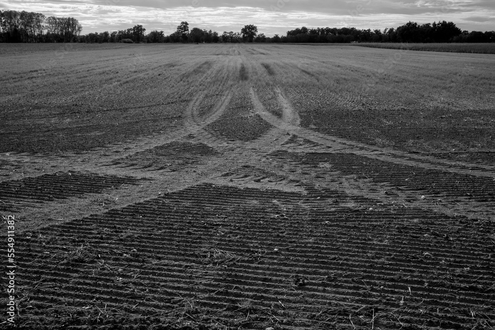 traces de roues de tracteur dans un champ labouré
