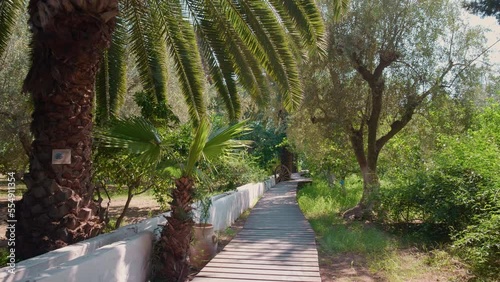 Wooden path through the botanical park with palm trees and wooden wheel at the end. Treckking parhway in travel location. photo