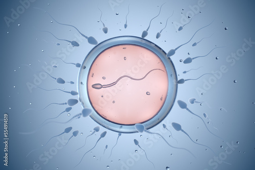 Illustration of sperm and egg cell photo
