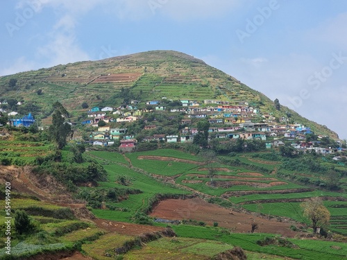 agricultural fieds in the valley, Ooty, Tamil Nadu, India.  © Favas