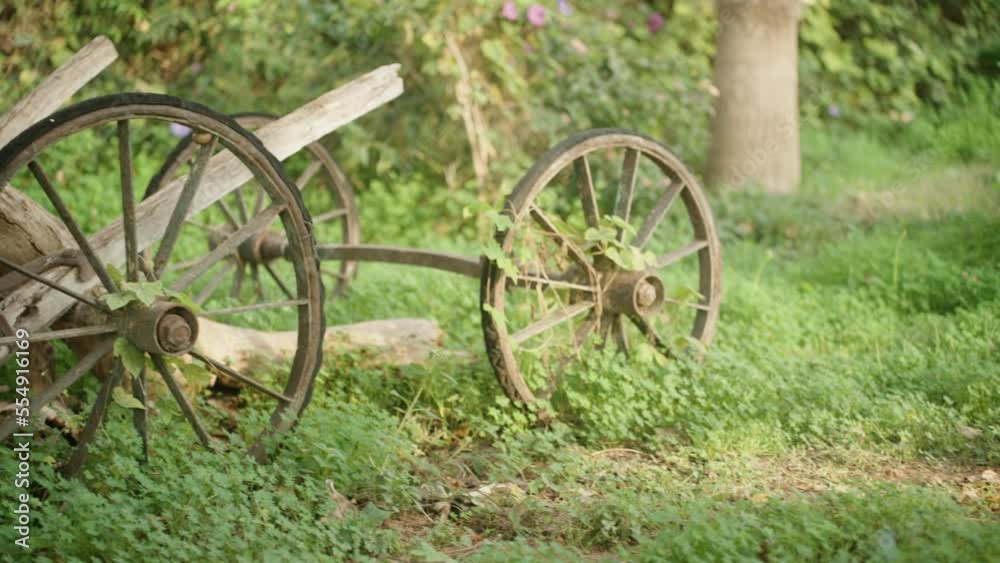 An old village cart with wooden wheels. in the bushes An old village cart with wooden wheels. in the bushes