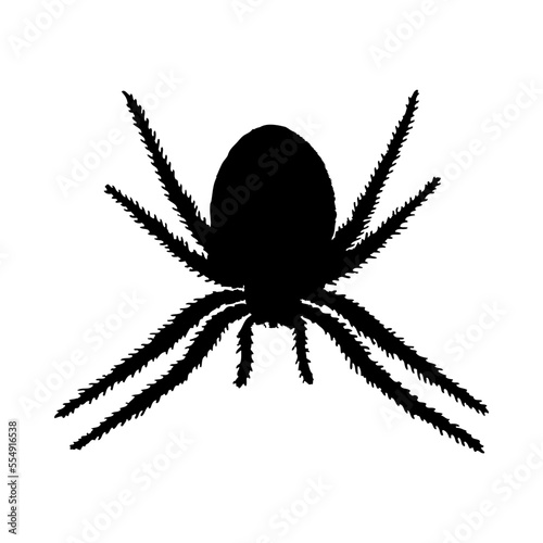 Spider Silhouette