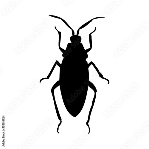 Beetle Silhouette