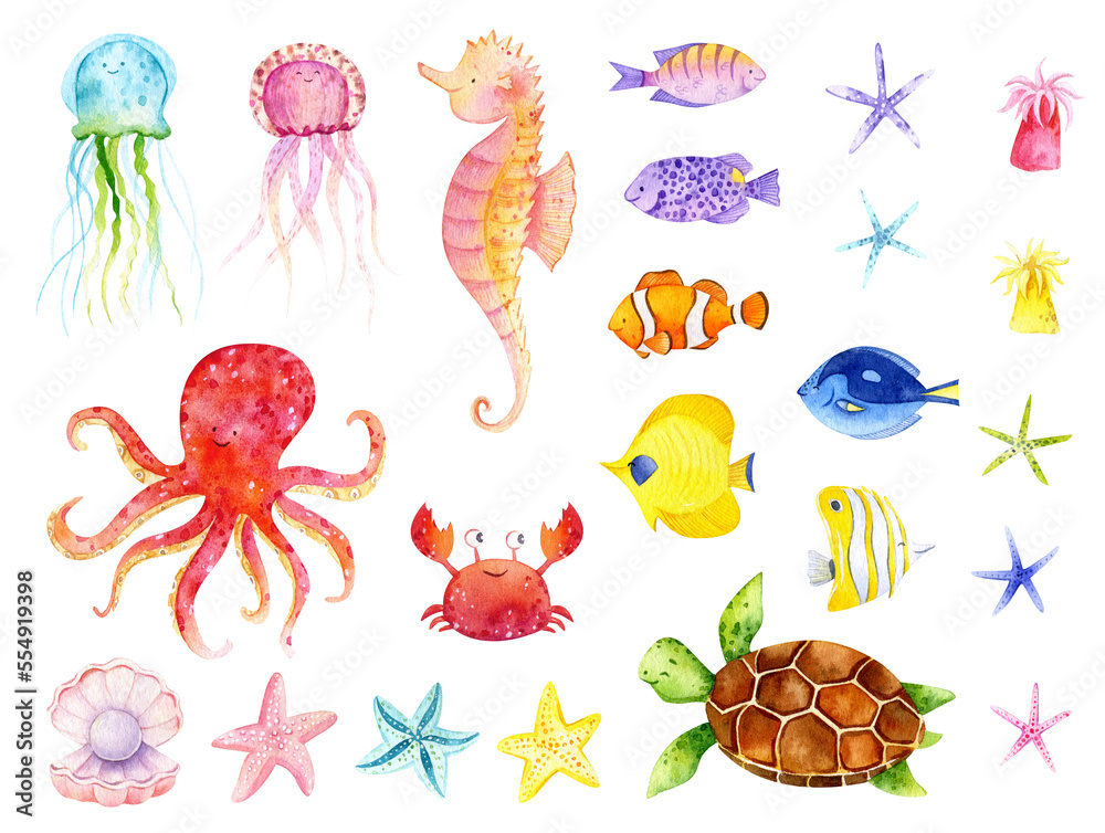 Obraz premium Watercolor sea corals and shells illustration. Cute baby under the sea animal underwater graphics. Marine fish hand-drawn, sea animal. Ocean children girl illustration. Baby shower mermaid clip art
