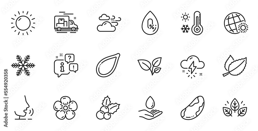 Outline set of Leaves, Mint leaves and Water care line icons for web application. Talk, information, delivery truck outline icon. Include Brazil nut, Organic tested, Windy weather icons. Vector