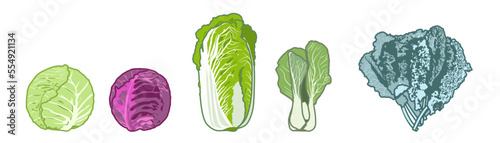 Cabbages (various)