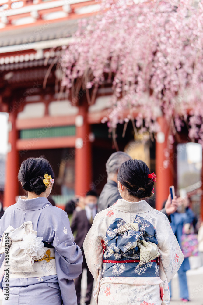 浅草　枝垂桜　着物　観光客