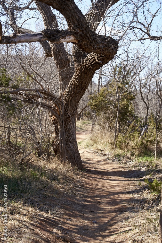 Palo Duro Canyon