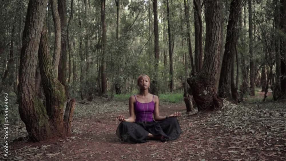 yogi standing up from lotus pose then walking away yogi standing up from lotus pose then walking away