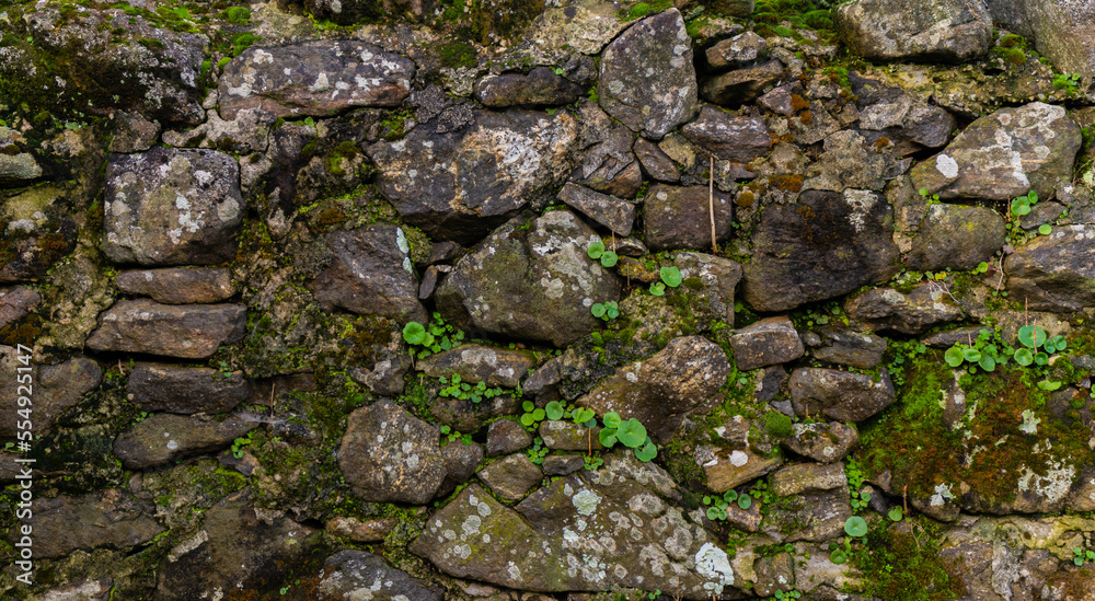 Textura de piedras con musgo en la naturaleza