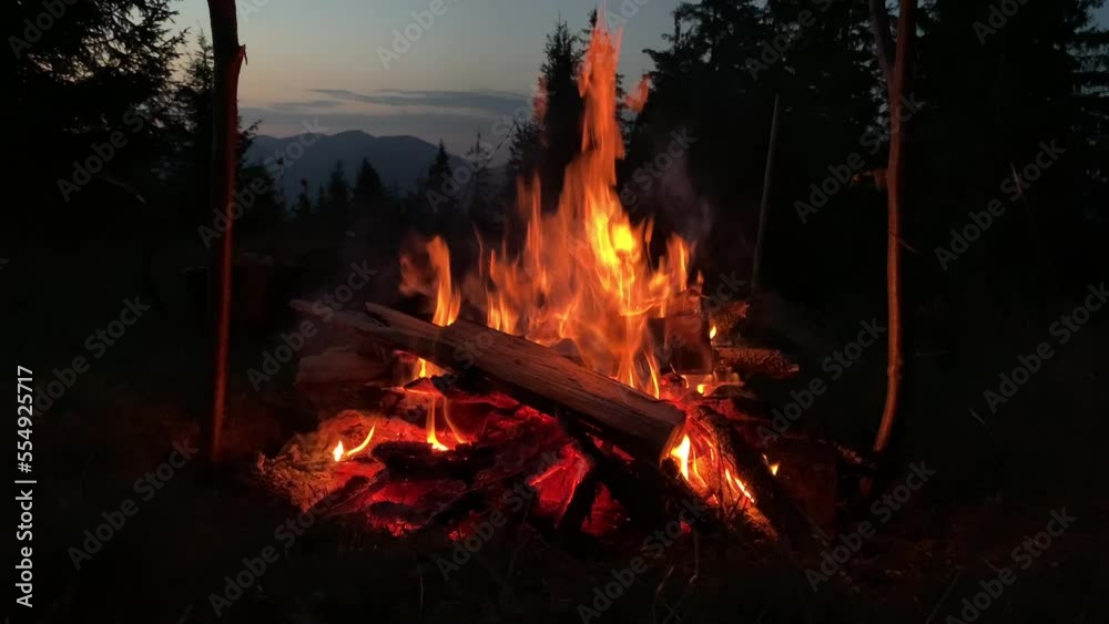 The fire burns in the dark, close-up. Concept: hiking in the forest, light in the dark Red flames on a campfire in the night forest. The fire burns in the dark, close-up. Concept: hiking in the forest, light in the dark Red flames on a campfire in the night forest.