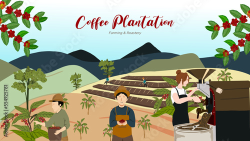 Illustration of coffee planation