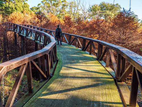 Man with backpack walking on bridge in autumn forest park.Travel, adventure, and tourism concept.