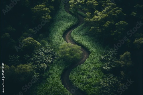 Aerial shot of path in the forest Generative AI wildlife shot with copy space