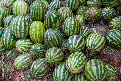 Fes, Morocco Striped melons for sale in the medina