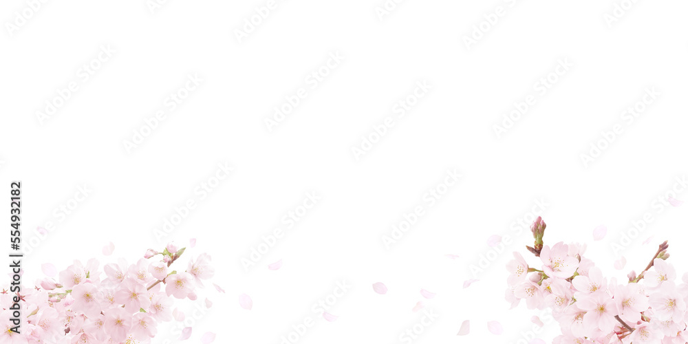 桜 イラスト リアル 背景 桜 イラスト リアル 背景