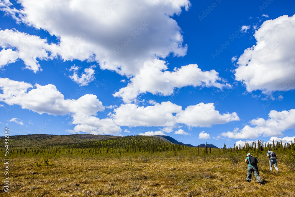Two women hiking in the Yukon–Charley Rivers National Preserve on tundra in summertime towards the B-22 downed plane; Alaska, United States of America Two women hiking in the Yukon–Charley Rivers National Preserve on tundra in summertime towards the B-22 downed plane; Alaska, United States of America