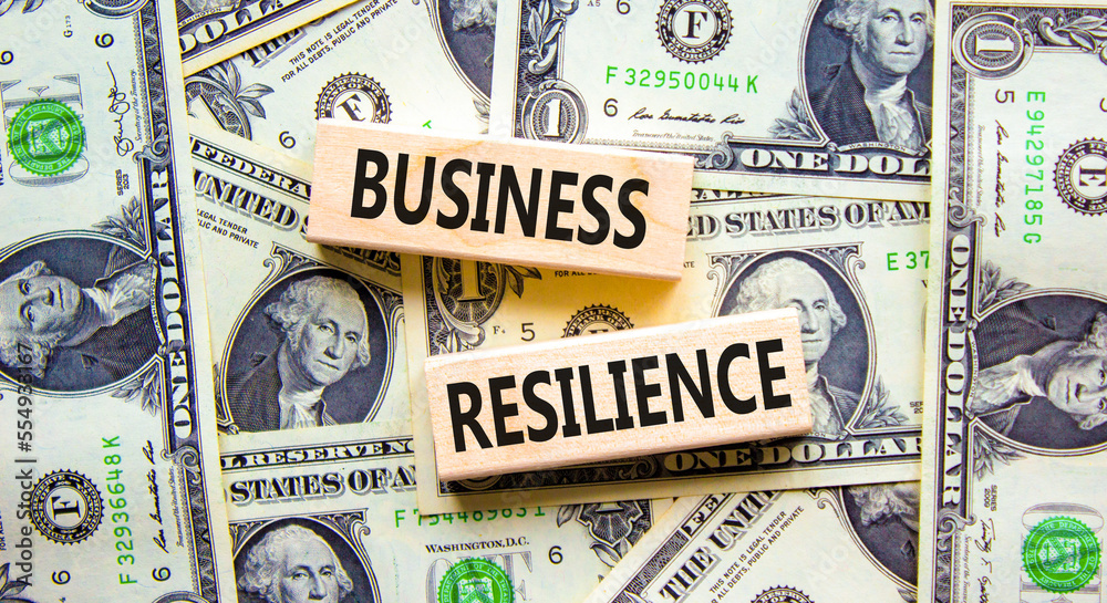 Business resilience symbol. Concept word Business resilience typed on wooden blocks. Beautiful background from dollar bills. Business and business resilience concept. Copy space.