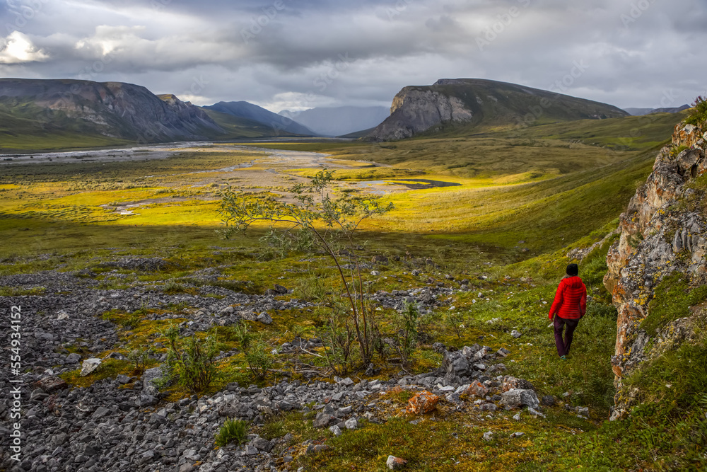 Tundra on Brooks Range, Upper Marsh Fork Valley, Alaska, USA Tundra on Brooks Range, Upper Marsh Fork Valley, Alaska, USA