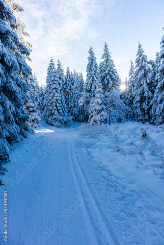 Schöne Winterlandschaft auf den Höhen des Thüringer Waldes bei Oberhof - Thüringen © Oliver Hlavaty