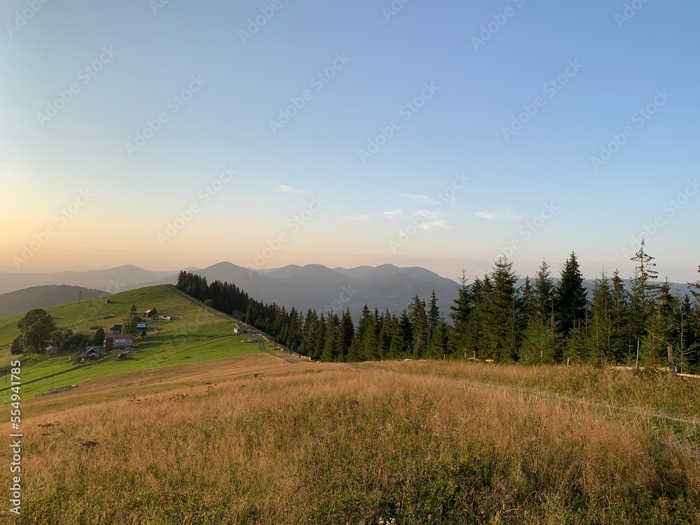Field road on the mountain near the forest. Carpathian mountains in a summer evening, view into the distance. Mountain range at sunset.