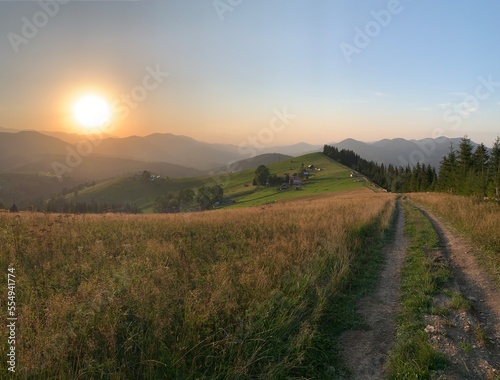 Field road on the mountain near the forest. Carpathian mountains in a summer evening  view into the distance. Mountain range at sunset.