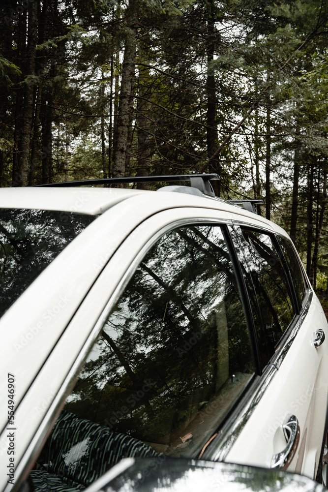 Car in the forest Car in the forest