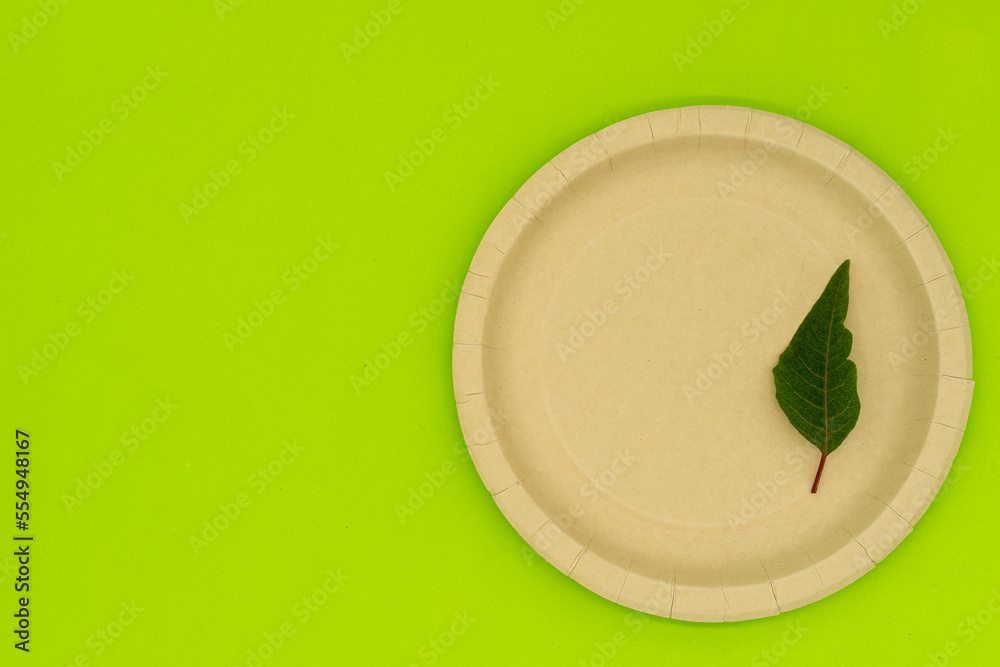 Ecological plates, fork, knife and glass, ecofriendly, composting