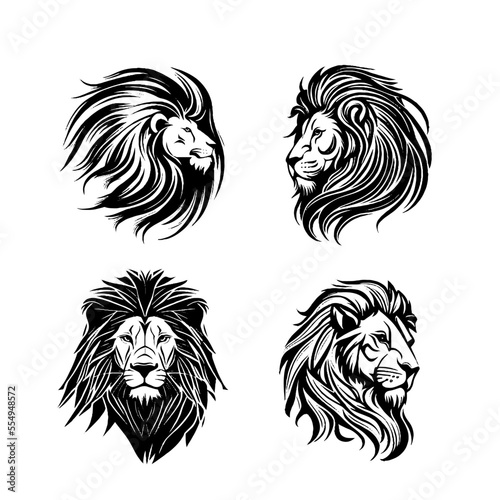 lions photo