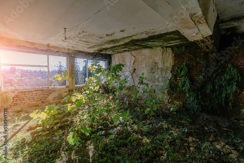 Fototapeta Naklejka Na Ścianę i Meble -  Overgrown by plants old abandoned building interior