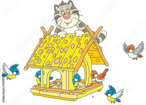 Funny fat cat hiding on a roof of a homemade birdfeeder and watching small birds flying around, vector cartoon illustration isolated on a white background