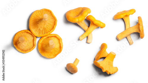 Chanterelles or girolles mushrooms (Cantharellus cibarius), top view isolated png