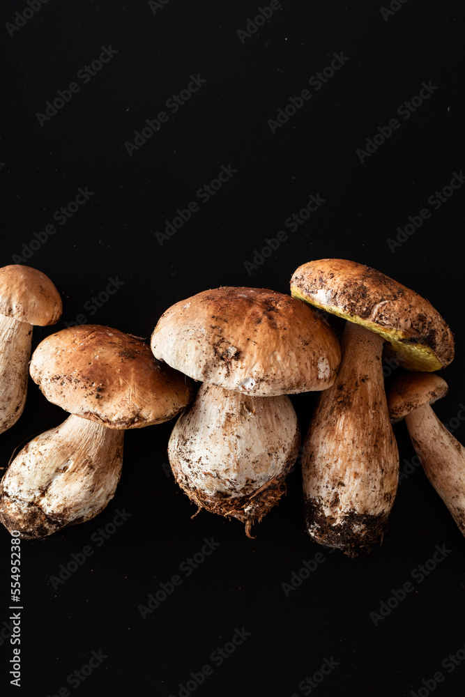 porcini mushrooms on a black background. shooting in the studio porcini mushrooms on a black background. shooting in the studio