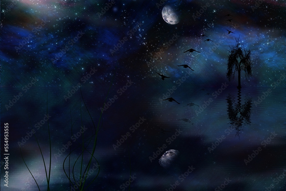 Birds flies to the moon as a free souls