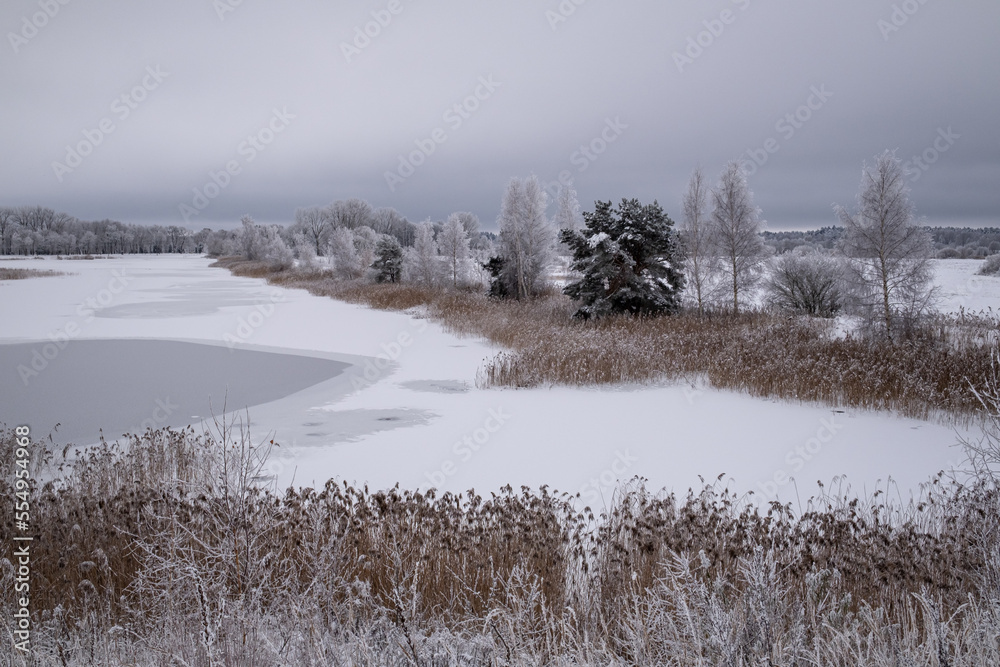 snow and ice covered pond, river grass and reeds. Sencu ponds, Anes karjers, Latvia, near Jelgava town