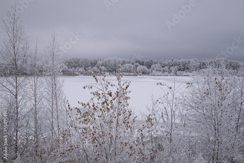 Anes karjers pond near Jelgava town in Latvia. Freezing overcast winter day. snow and ice covered water surface,frost covered trees and reeds