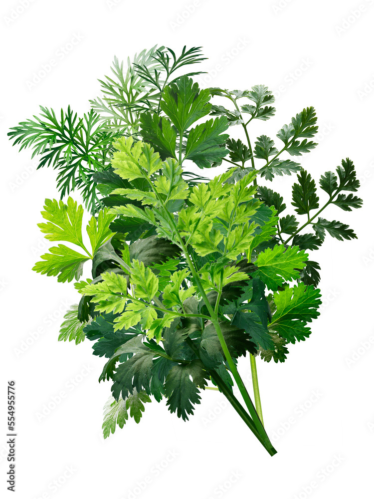 Herbs bouquet combination, paths isolated png - obrazy, fototapety, plakaty 