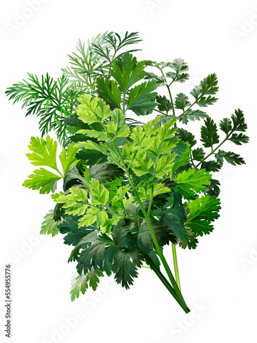 Herbs bouquet combination, paths isolated png photo