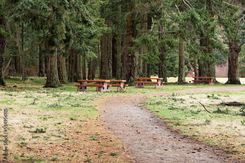 trail and bench in the Rathtrevor Beach Provincial Park, parksville, vancouver island, british colombia, canada photo