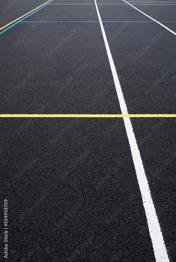 Graphic abstract picture of a netball court.