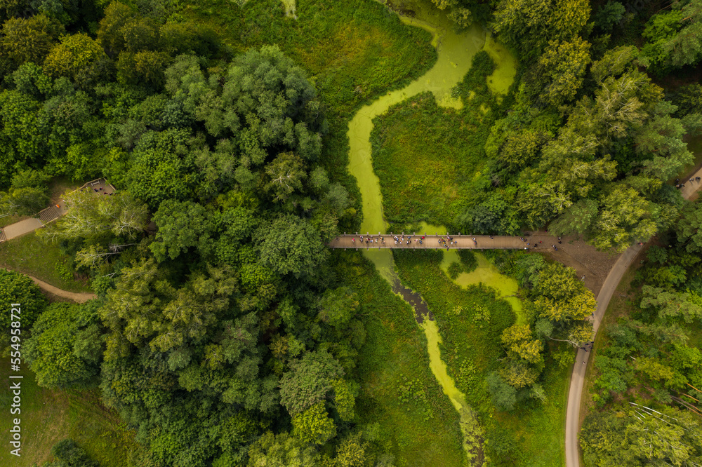 Top view of the nature road