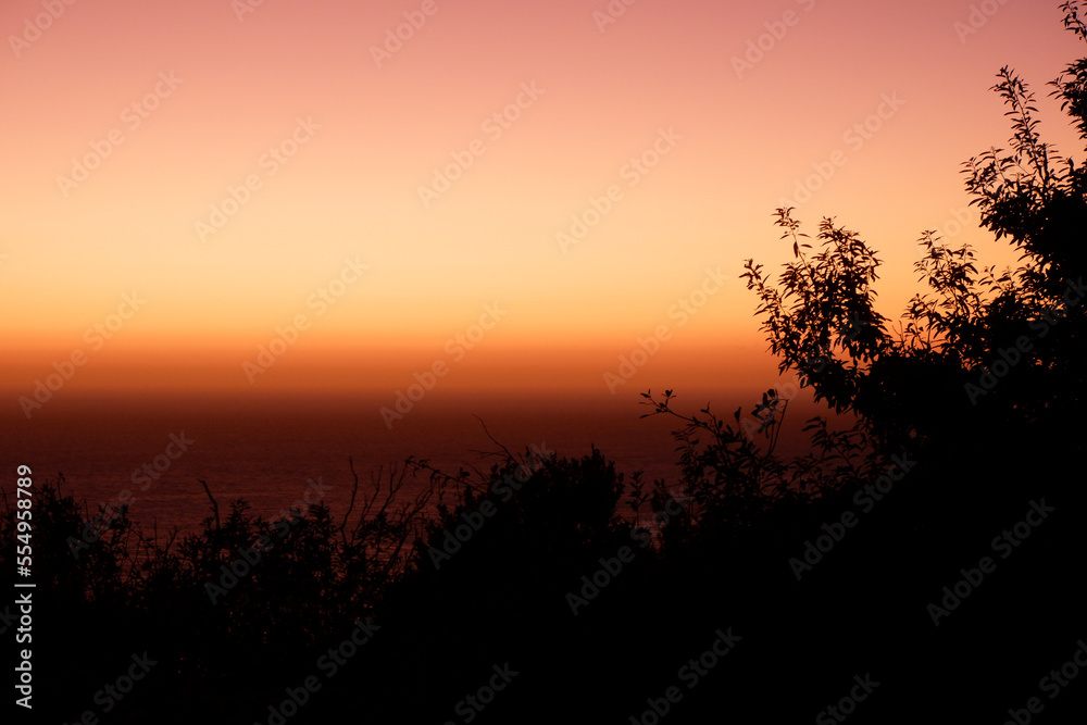 Orange sky sunset horizon with the view on pacific ocean and tree silhouette on the front Orange sky sunset horizon with the view on pacific ocean and tree silhouette on the front