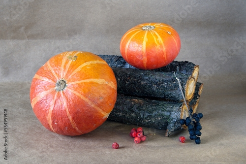 Two ripe orange pumpkins on firewood, dry viburnum berries and a branch of rowan