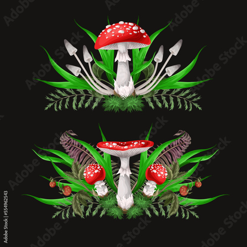 Compositions with Fly agarics, mushroom, and plants isolated. Vector.