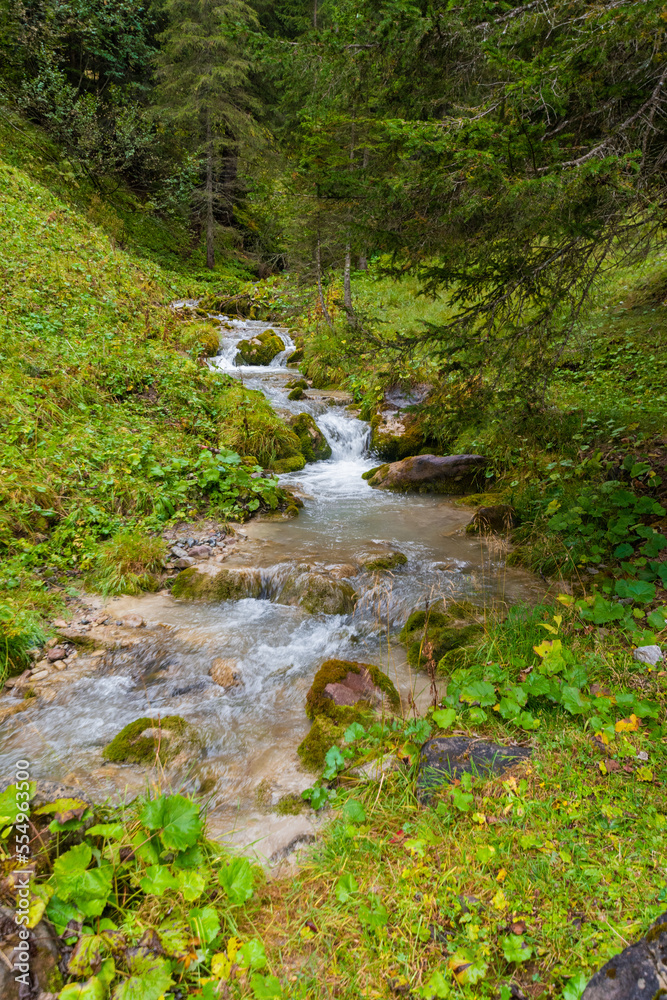 alpin river in the forest (austria) alpin river in the forest (austria)