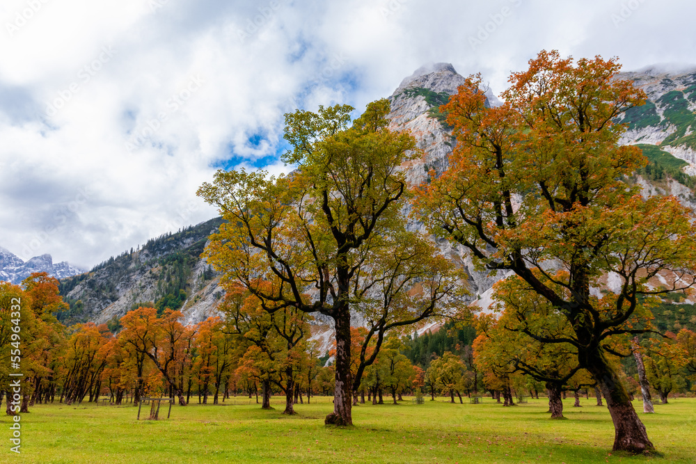 Fototapeta premium autumn in the alps (Ahornboden/Eng Valley, Tyrol, Austria)